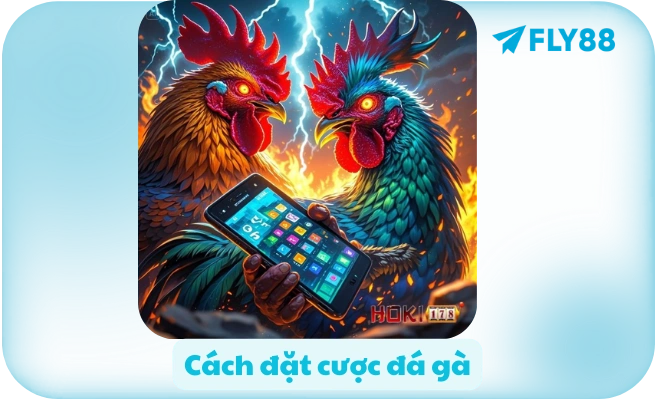 Cách đặt cược đá gà